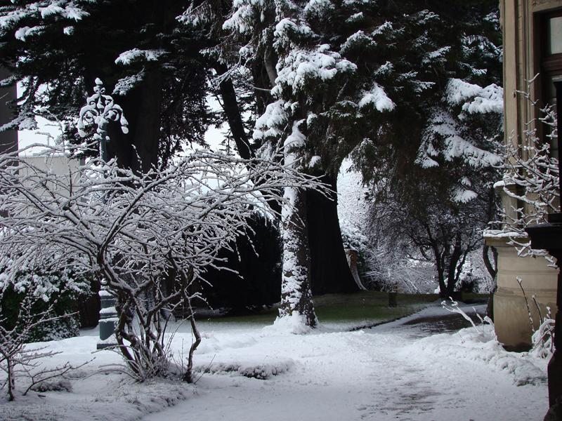 Jardines del Palacio Braun Menéndez en invierno