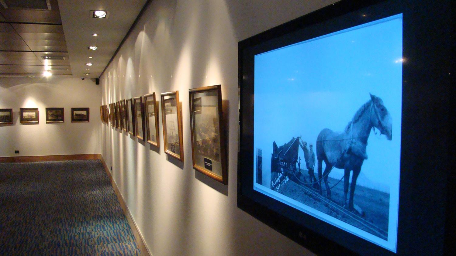 SAla expositiva con las piezas montadas