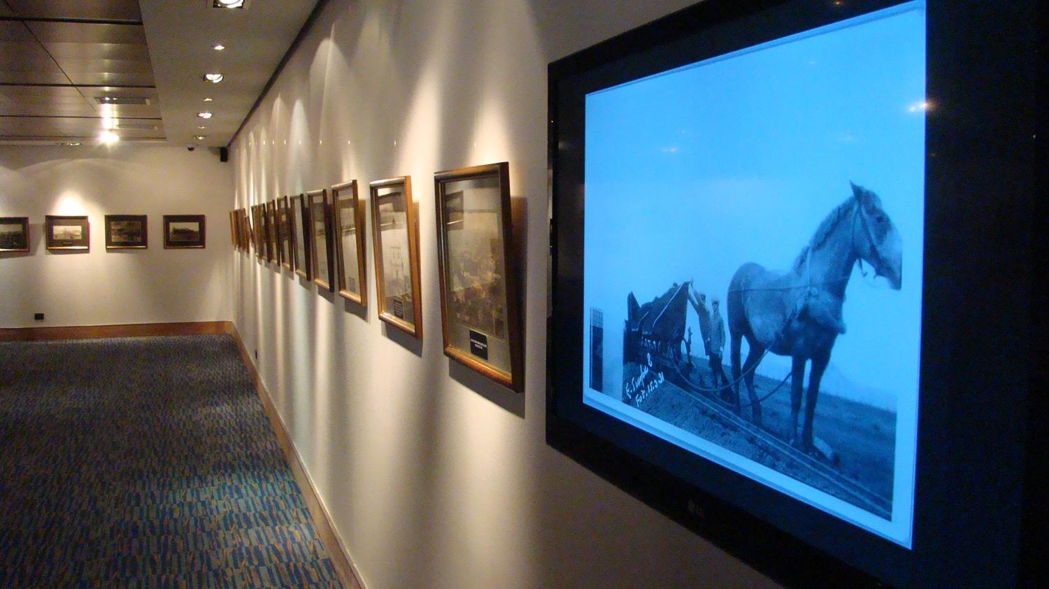 Exposición "Punta Arenas en un click: 50 años de imágenes únicas"