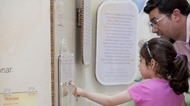 Niña intecatuando con material educativo