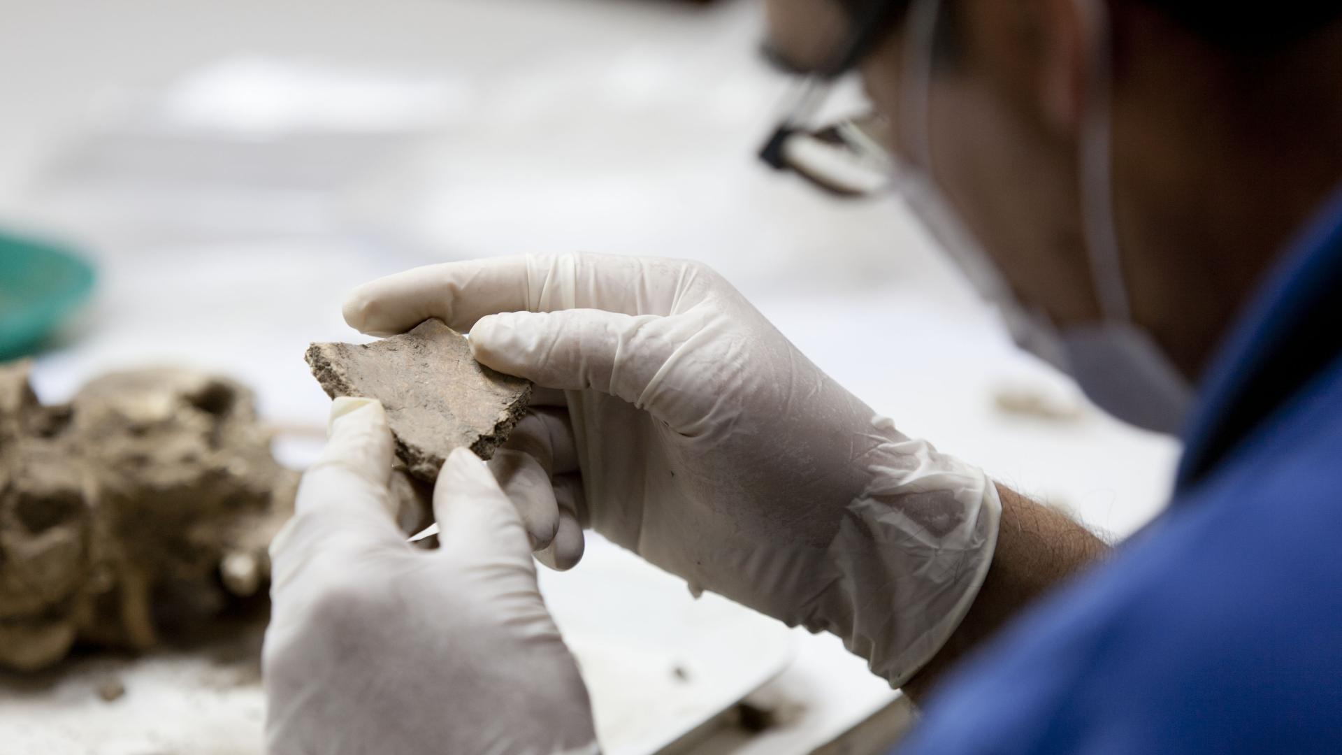 Trabajador, con ropa azul y guantes de látex blancos, revisa fragmento cerámico, parte de la colección del museo.