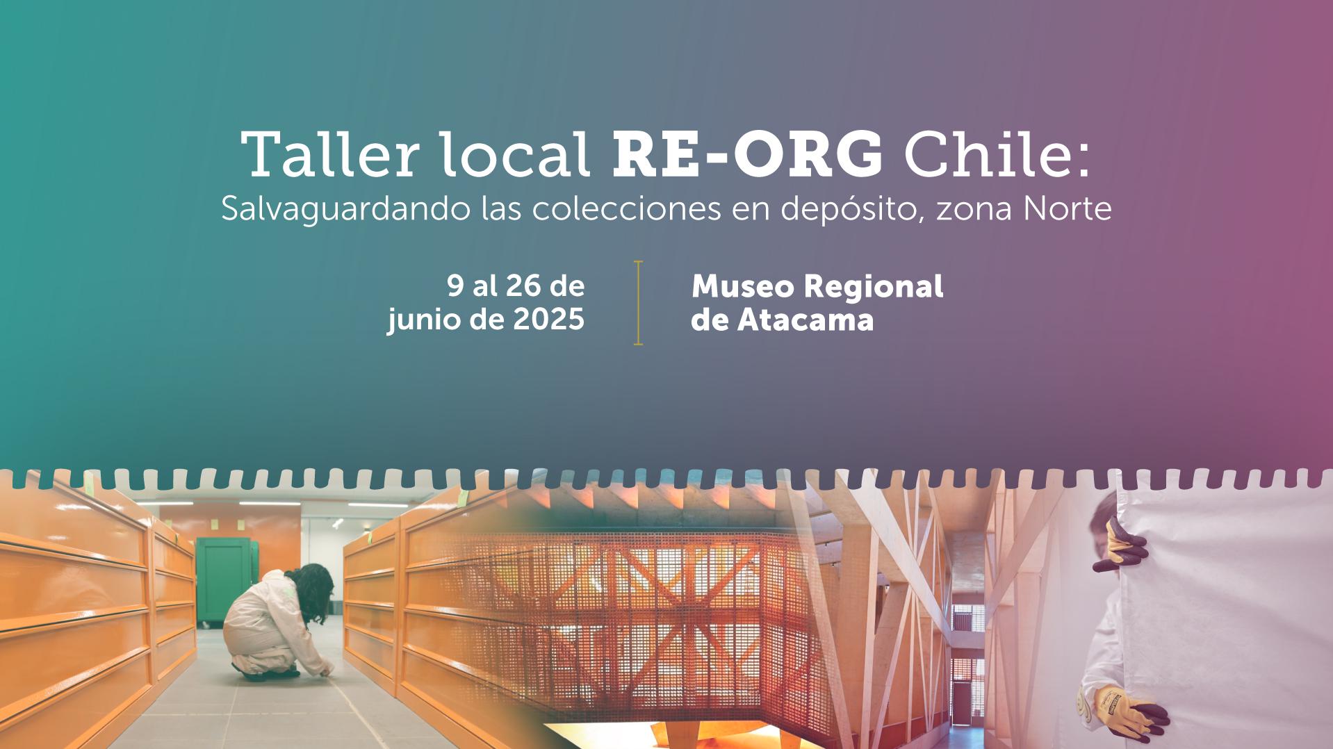 Afiche Taller Local RE-ORG 2025