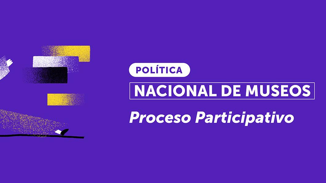 Gráfica proceso participativo PNM