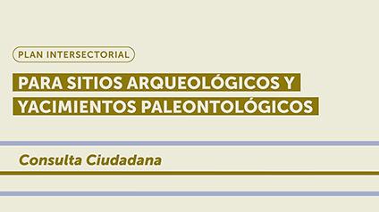 Consulta Ciudadana