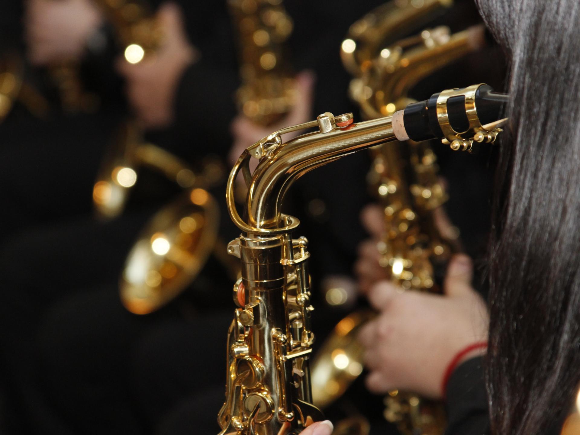 Presentación de banda infantil (Imagen de  archivo)