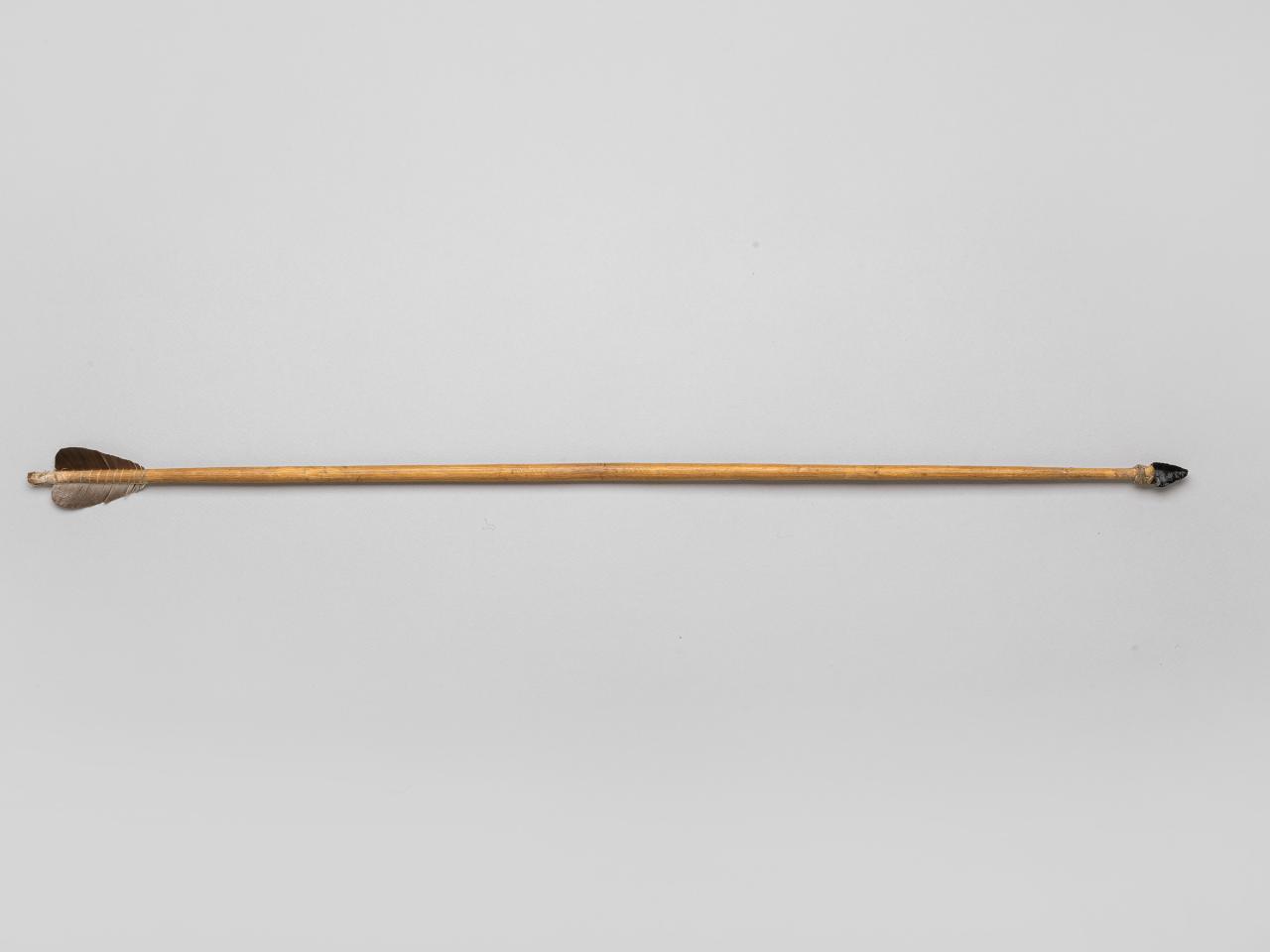 Flecha selknam