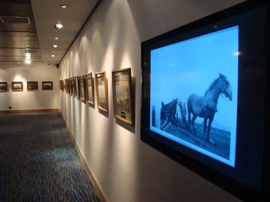 SAla expositiva con las piezas montadas