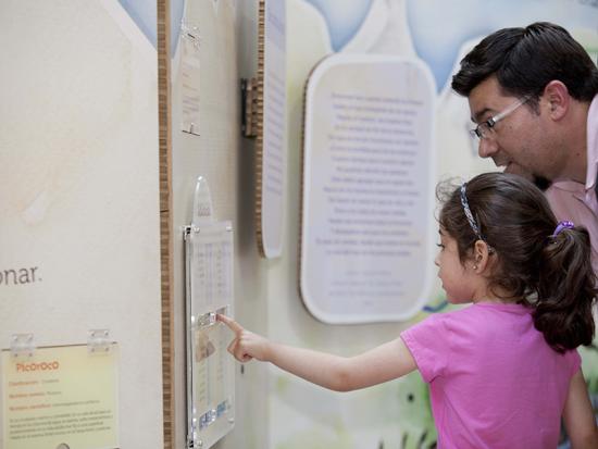 Niña intecatuando con material educativo