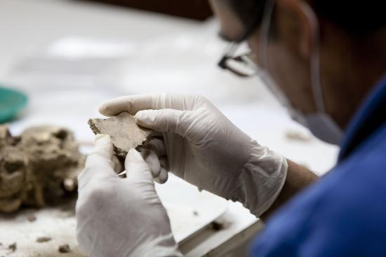 Trabajador, con ropa azul y guantes de látex blancos, revisa fragmento cerámico, parte de la colección del museo.