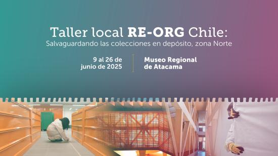 Afiche Taller Local RE-ORG 2025