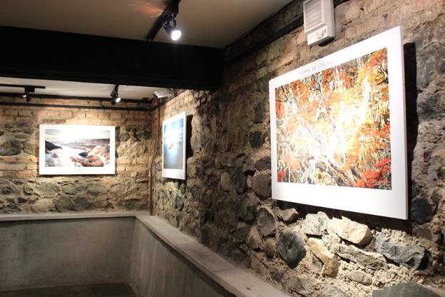 Vista de la exposición