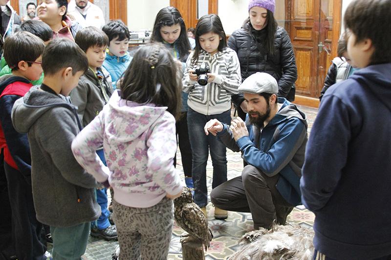 Profesor Sebastian Saiter