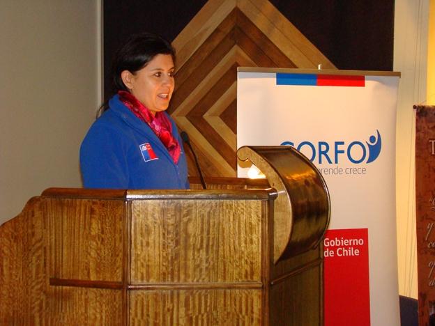 Subdirectora de Corfo Magallanes