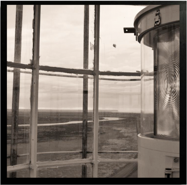 Punta Dungeness-Contemplación