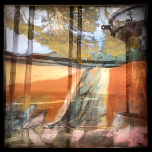 Punta Dungeness-Contemplación