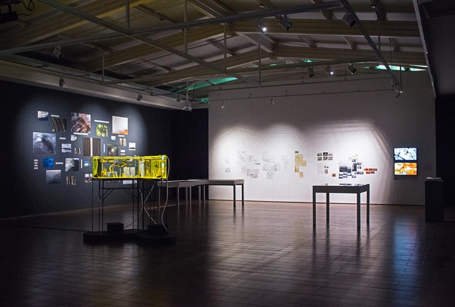 Montaje exposición Tiempo Profundo