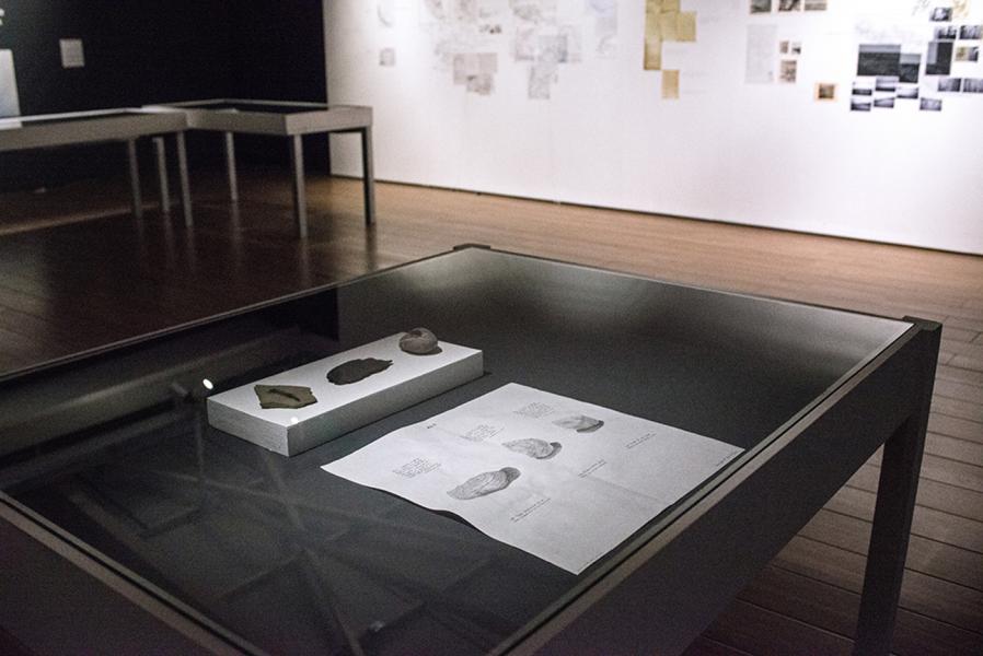 Vitrina horizontal con el trabajo de uno de los expositores del Tiempo Profundo