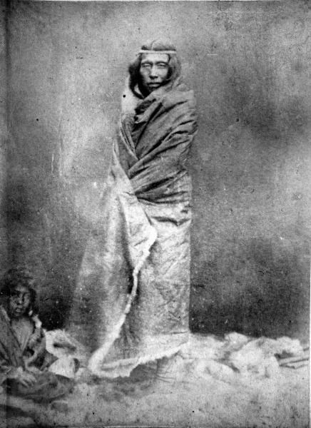 Cacique Mulato Cacique Mulato